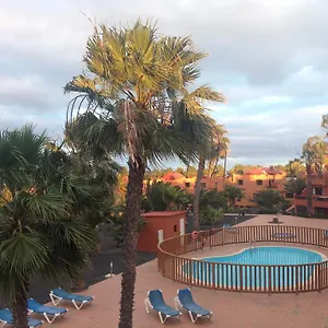 https://oasis-royal.hotelsfuerteventura.org